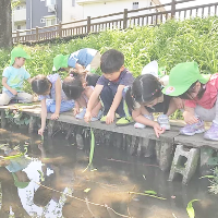 引用: リップル保育園与野